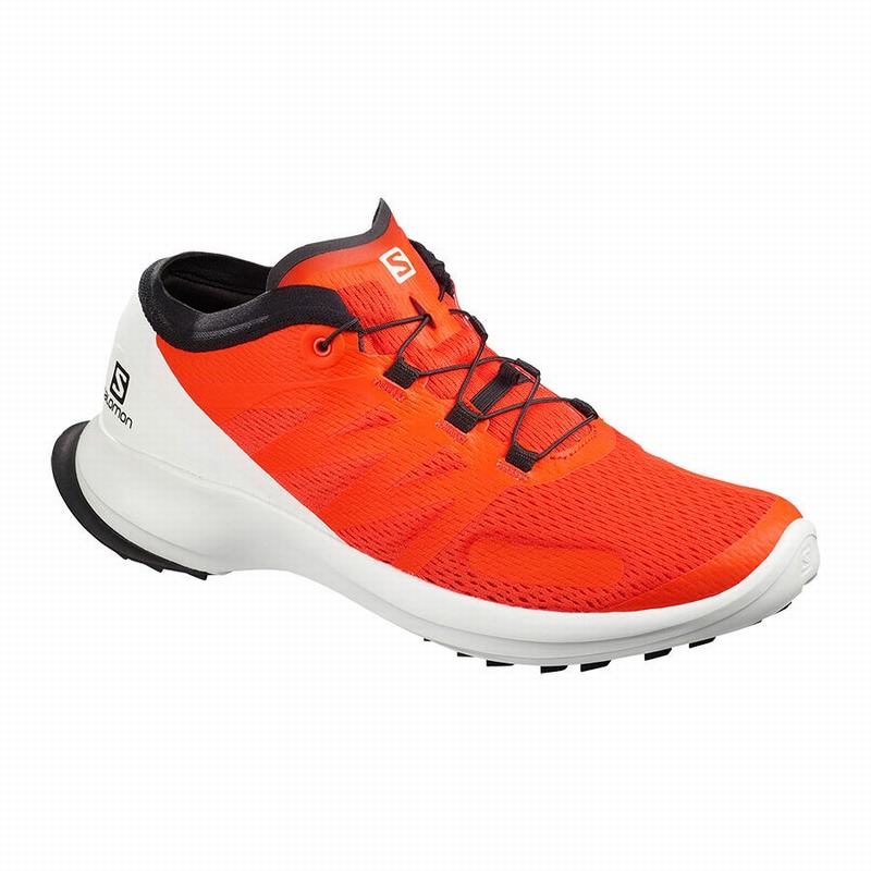 Chaussures De Trail Running Salomon Homme Orange - Salomon SENSE FLOW - France (6195-HGLNO)